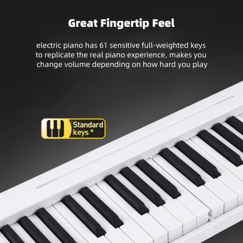 61-Key Foldable Electronic Piano Multifunctional Electronic Organ BT Connectivity Portable Musical Instrument or Accesso